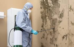 Why You Should Choose Our Mold Remediation Services in Trotwood, OH